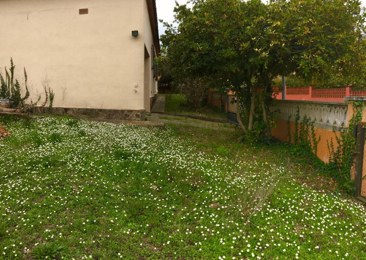 Casa Amb Gran Jardi A Vilauer-Costa Brava - Alt Emporda Vilaur Buitenkant foto